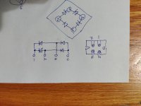 IMG_20231111_092038832.jpg