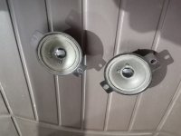 IMG_20231106_202846.jpg