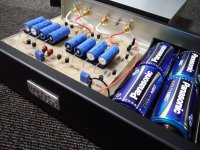 JC-1DC clone-II.jpg