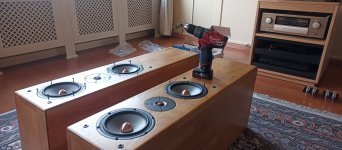 IMG_20231119_091735.jpg