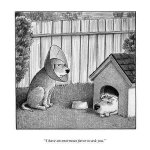 dog_favor.jpg
