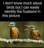 IMG_1254.jpeg