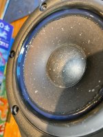 IMG_1786.jpeg