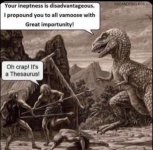 IMG_1259.jpeg