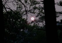 smoky sun sm.jpg