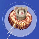 ferret-core.jpg