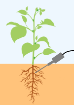 sonicator in ground.png