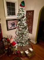 IMG_0295.jpeg