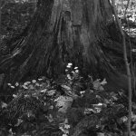 IMG_4476.jpeg
