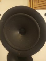 IMG_20231206_164921_927.jpg