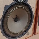 SolarVox TK19S Woofer.jpg