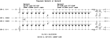 bulk cap bank-sch-R1.png