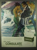 Consulate - Cool as a mountain stream.jpg