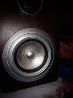 IMG_20231215_202343.jpg