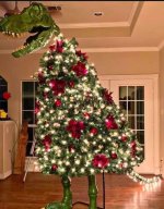 IMG_1314.jpeg
