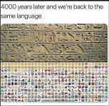 IMG_1321.jpeg