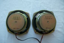 Sony 5 inch Subwoofer Rear.jpg