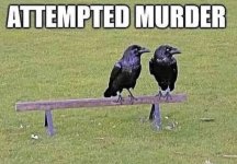IMG_1327.jpeg
