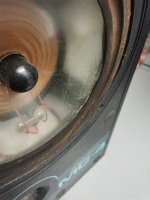IMG_20231219_184420.jpg