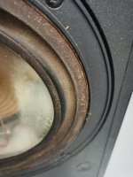 IMG_20231219_184425.jpg
