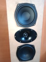 tymphany genelec SB21WG.jpg