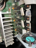 IMG_3504.jpeg