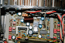 _dsc1975.gif
