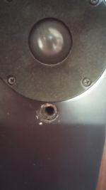 Roksan Ojan 3x-tweeter.png
