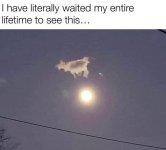 IMG_1341.jpeg