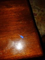 IMG_20231229_074044358.jpg