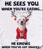 IMG_1348.jpeg