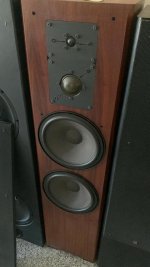 IMG_7637.jpeg