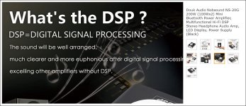 Nobsound NS-20G DSP.JPG