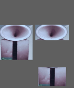 EarHeightHF,floorWoofer .png
