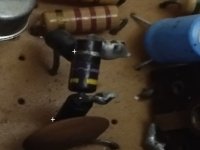 455674.jpg