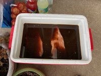 IMG_0646.jpeg
