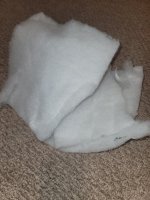 20240116_183749.jpg