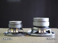 CHN719-04.jpg