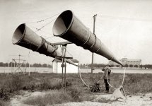 bigearhorns.jpg