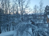 20240116_085451.jpg 20240116_085451.jpg