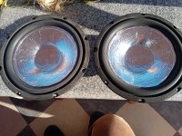 IMG_20240121_075434.jpg