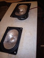 IMG_20240123_191720.jpg