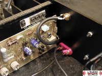 Electrocompaniet_AmpliwireIIa_connections.jpg