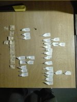 IMG_20230901_182902.jpg