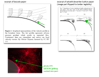 240128-flange_turbulence.png