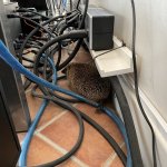 IMG_0679.jpeg