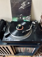 IMG_1206.jpeg