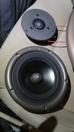 20240129_181541.jpg