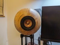 PXL_20240201_223059690.jpg