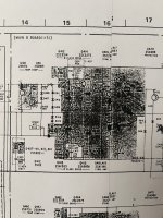 IMG_2203.jpeg